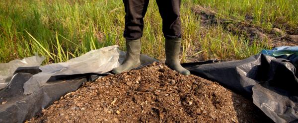 Des sols riches en matière organique sont fertiles mais aussi essentiels pour faire face au changement climatique © R. Belmin, Cirad